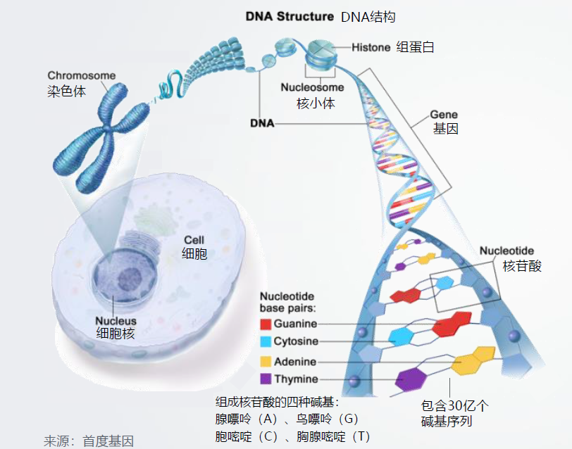微信截图_20181203112015.png